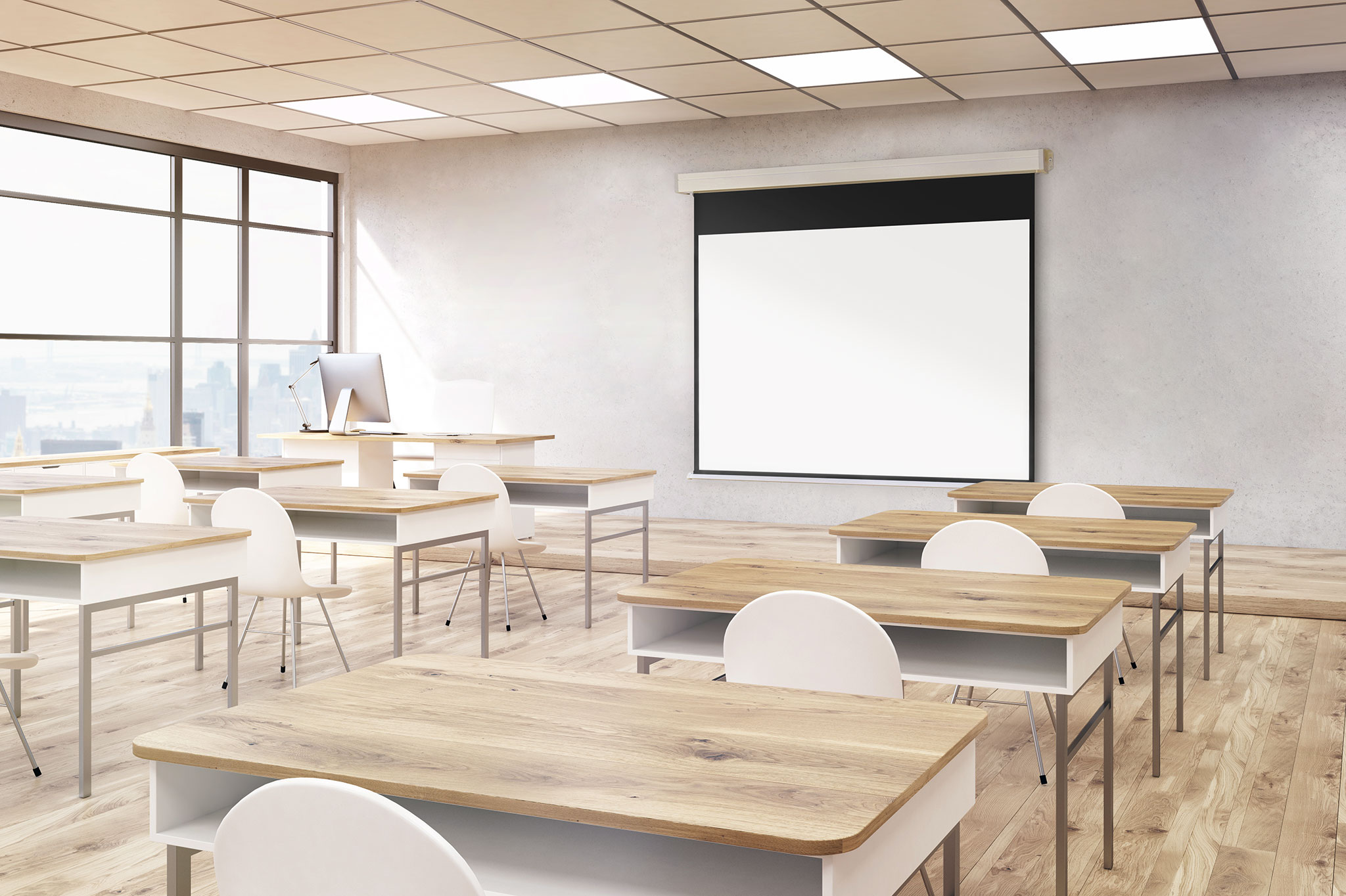 Crisplay Manual Wall Screen