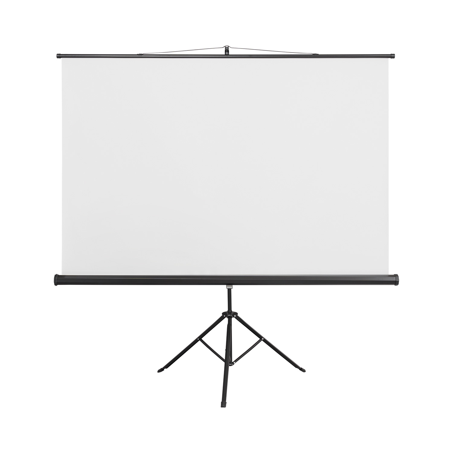 Focal Tripod Projection Screen