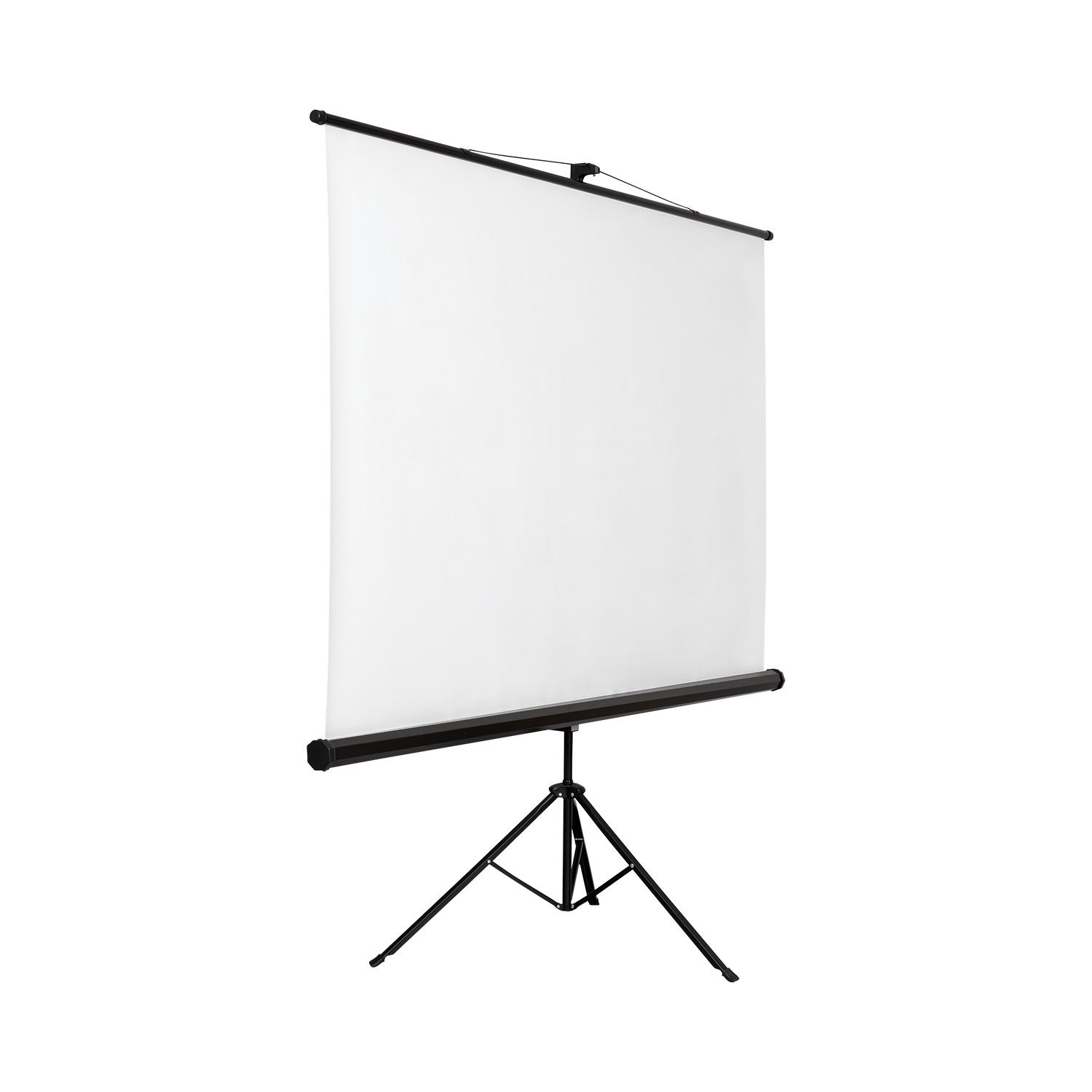 Focal Tripod Projection Screen